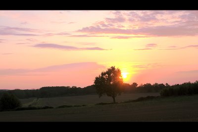 Paysages