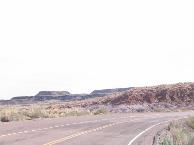 painted desert