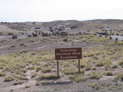 painted desert