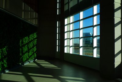 g1/66/524666/3/110376850.FO8JeqNC.jpg