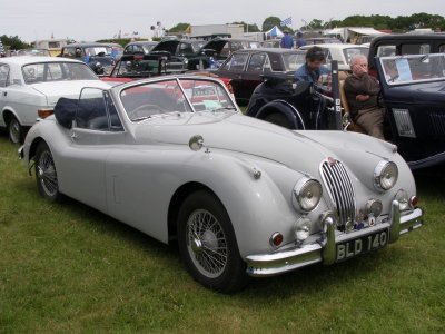 P5230087 [800x600].JPG