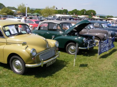 P5240051 [800x600].JPG