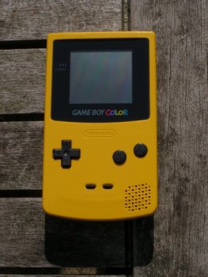 Gameboy Color - dandelion