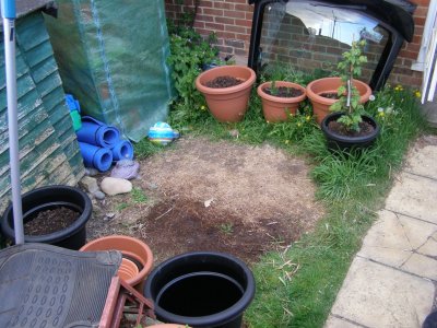 Bottom of garden