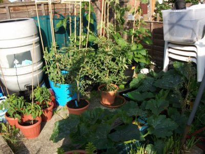 Top of garden