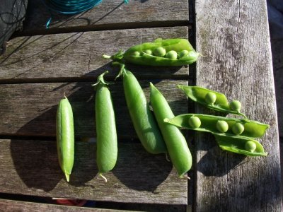Peas