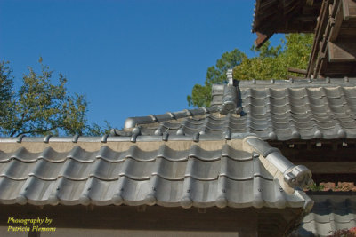 Building Roof