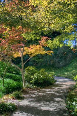 4797_8_9_HDR.jpg