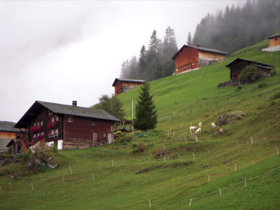 Gimmelwald