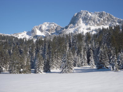 Snowshoeing