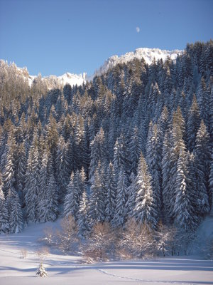 Snowshoeing