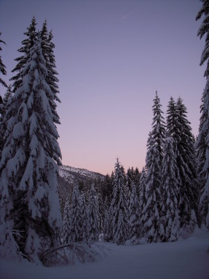 Snowshoeing