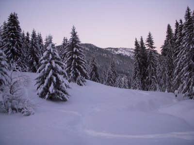Snowshoeing