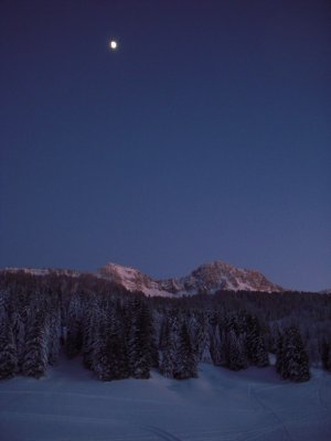 Snowshoeing