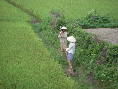 DSCN3012.JPG