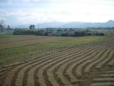 DSCN3037.JPG