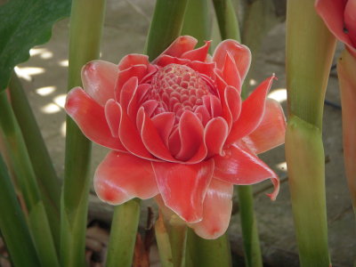 DSCN3177.JPG