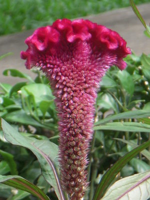 DSCN3283.JPG