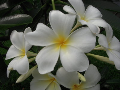 DSCN3294.JPG