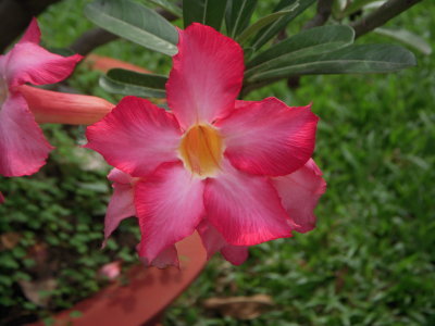 DSCN3303.JPG