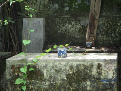 DSCN3383.JPG