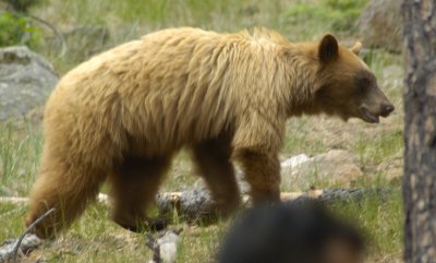 DSC_0395b.jpg