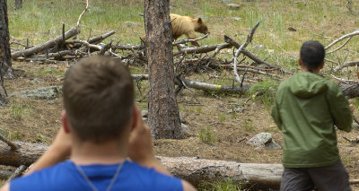 DSC_0401.jpg