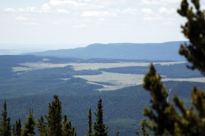 DSC_0265.jpg