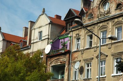DSC_0219.jpg