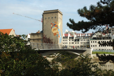 DSC_0281.jpg