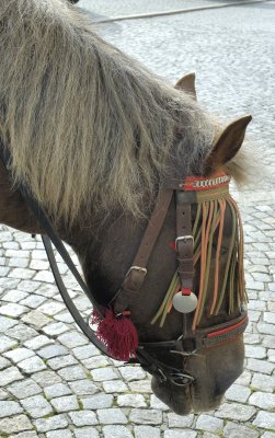 DSC_0314.jpg