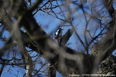 DSCF_6040.JPG