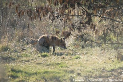DSCF_6333.JPG