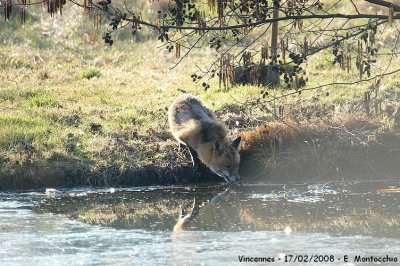 DSCF_6341.JPG