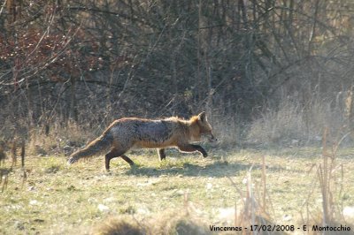 DSCF_6343.JPG