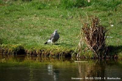 DSCF_7268.JPG