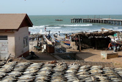 Bakau