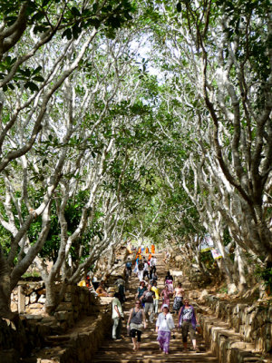 Mihintale & Anuradhapura