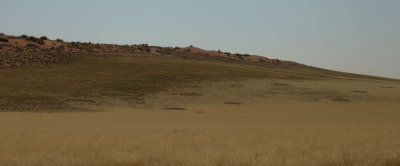 Sossusvlei (fairy circles)