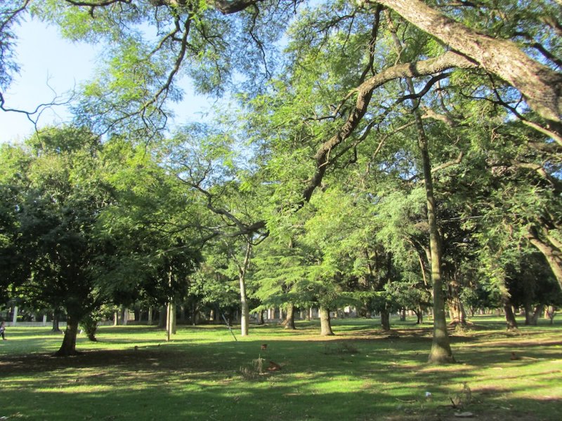 into the Bosque, a large naturalized urban park...