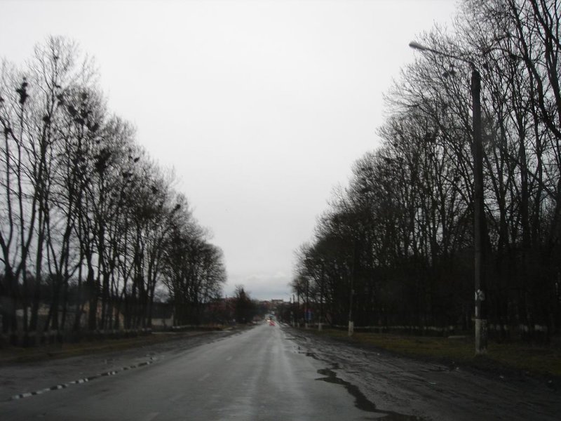 the road into town