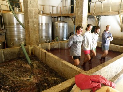 how that Mateus wine is made (!)