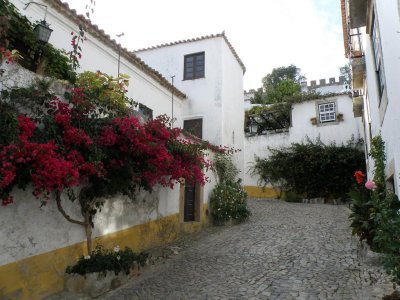 off the tourist track in Obidos