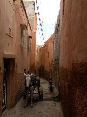 our riad is down this street