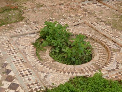 remnants of the guest houses