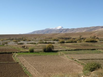 farming near the village of Amejgag