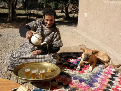 Mansour serving tea