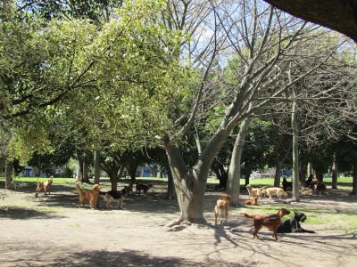 in the Palermo neighborhood, at the Parque las Heras