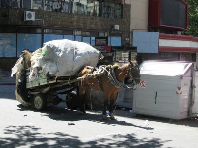 horse carts serve in informal recycling