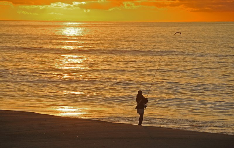 Sunrise Surf Fisherman